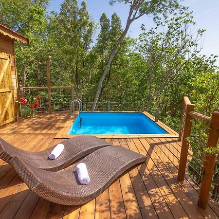 Au Jardin Des Colibris Ecolodge&Spa Deshaies Kültér fotó