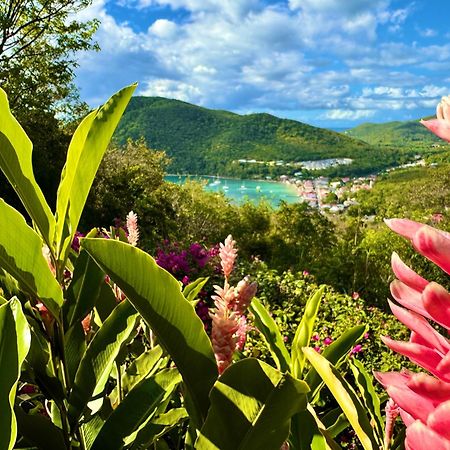 Au Jardin Des Colibris Ecolodge&Spa Deshaies Kültér fotó