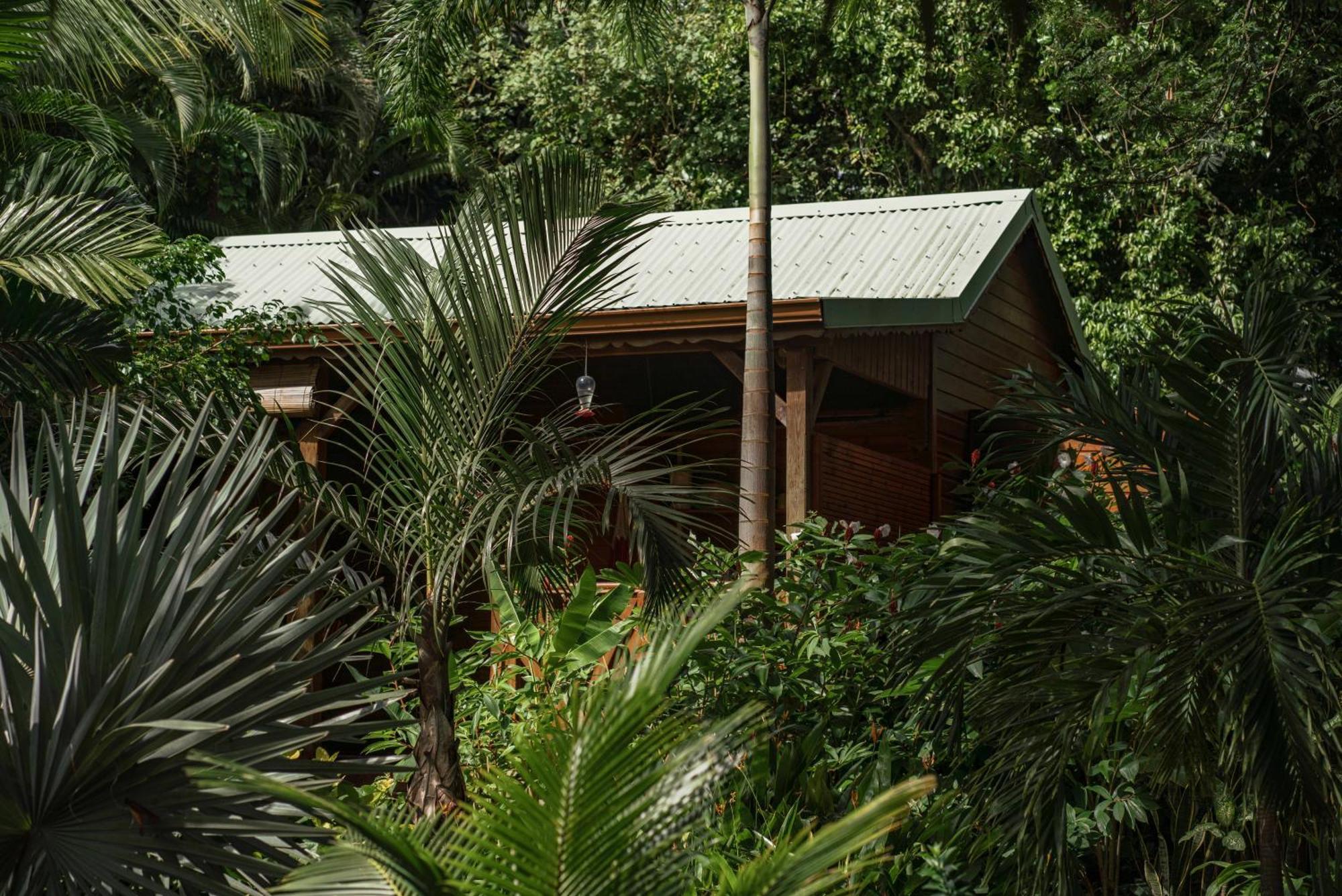 Au Jardin Des Colibris Ecolodge&Spa Deshaies Kültér fotó