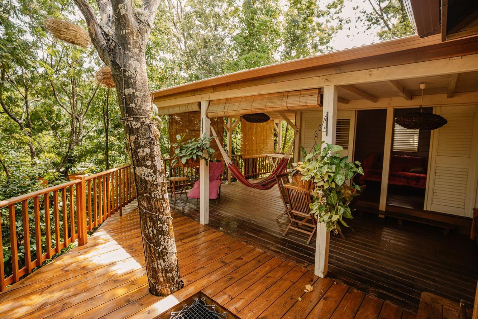 Au Jardin Des Colibris Ecolodge&Spa Deshaies Kültér fotó