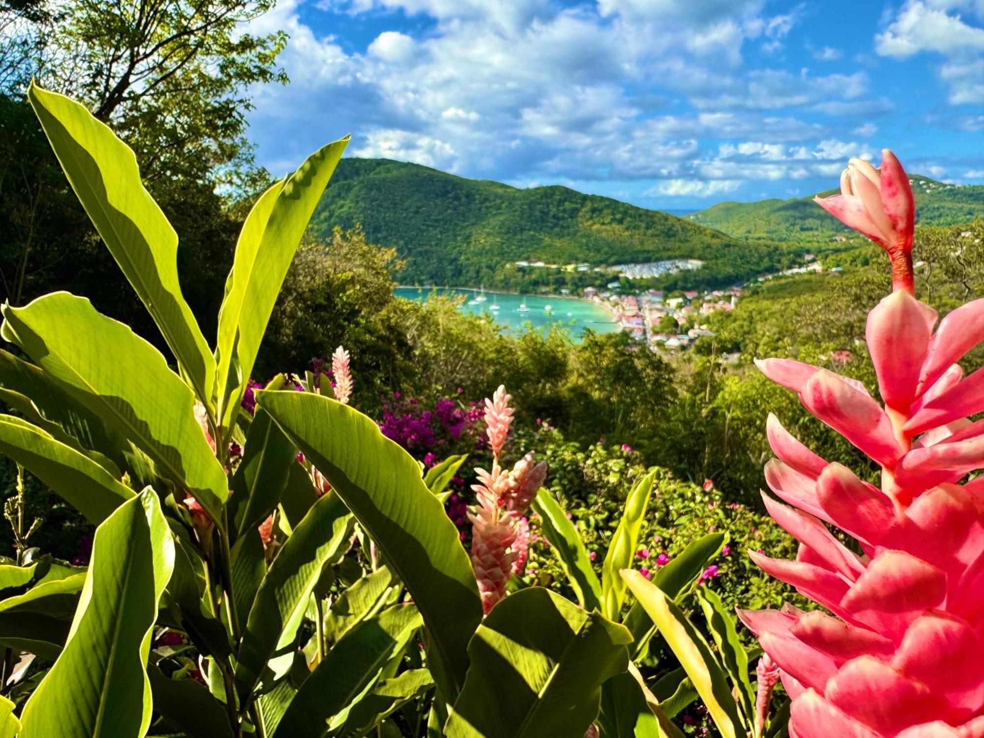 Au Jardin Des Colibris Ecolodge&Spa Deshaies Kültér fotó